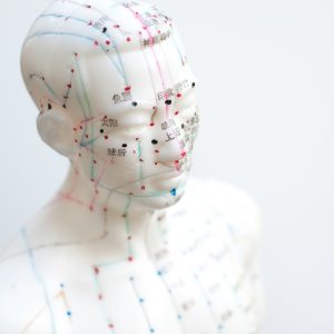 mannequin showing meridians